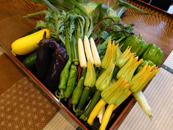 新潟全酒蔵の代表銘柄を唎き酒できる「ぽんしゅ館」