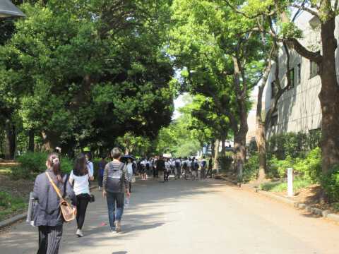 上野公園の楽しみ方を解説!自然に美術に動物園まで、上野公園の見どころを徹底網羅