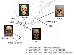 日本人のルーツに迫る!旧石器から現代までの「遺伝的な繋がり」が明らかに