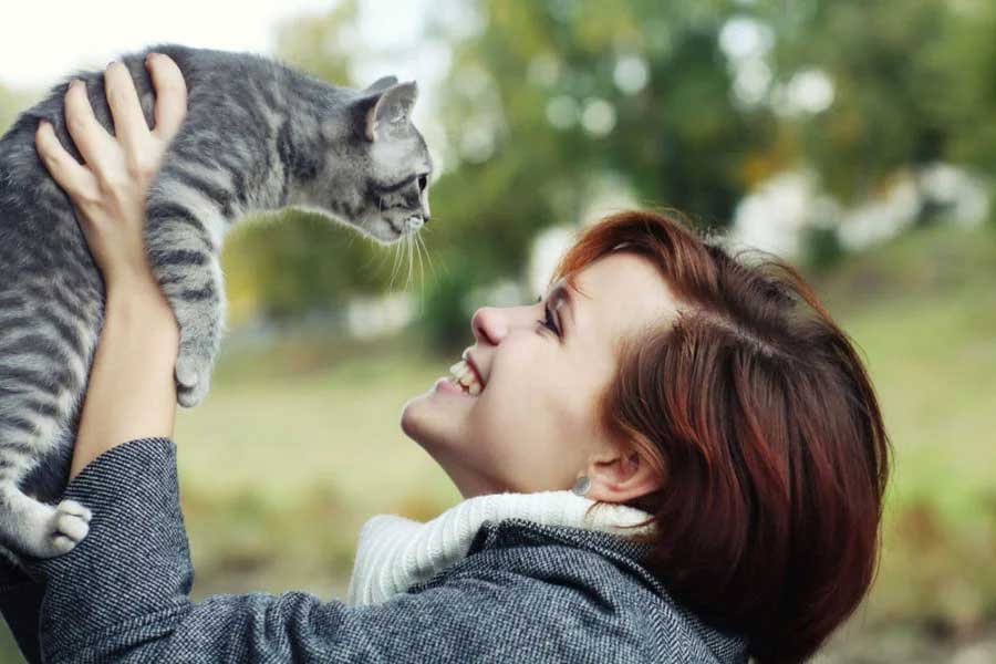 ネコは「自分の名前」も「飼い主の声」も分かっていてあえて無視している