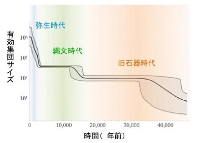 日本人のルーツに迫る!旧石器から現代までの「遺伝的な繋がり」が明らかに