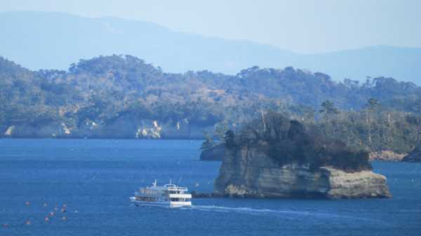【連載】ドライブで楽しむおすすめの旅 ~秋の宮城でお花見と海の絶景を満喫~