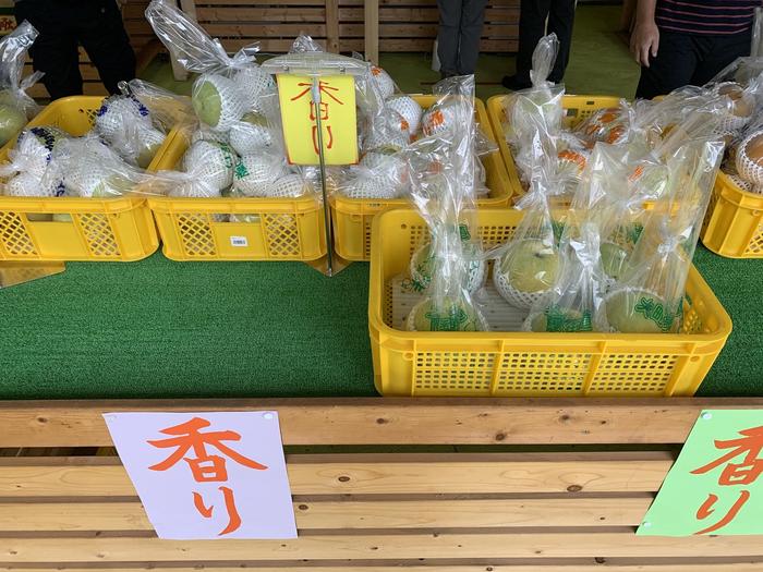 【千葉県市川市】地元に愛される梨の聖地!大町梨街道で新鮮な梨とスイーツを