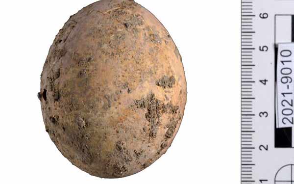 人のうんちの中から「1000年前の鶏卵」が完璧な状態で見つかる