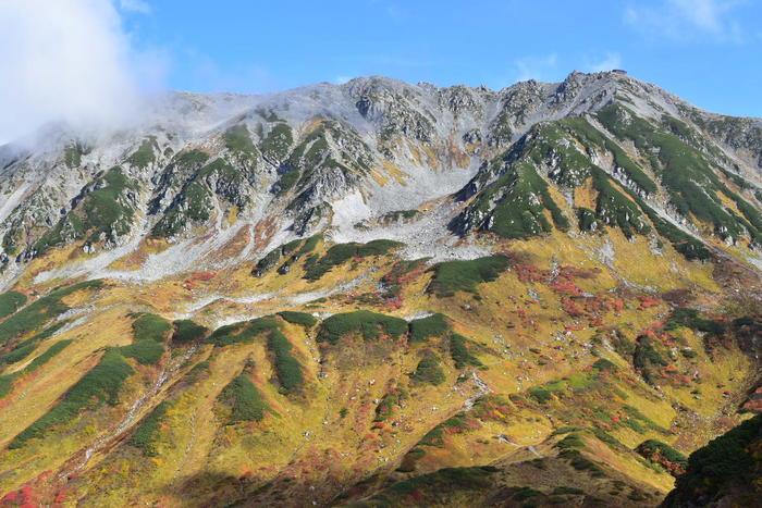 赤・黄・緑のコントラスト 絶景の紅葉スポット 立山室堂