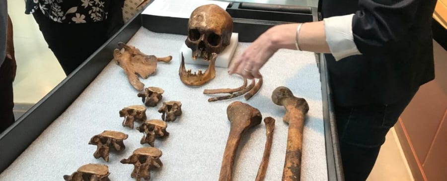 30年前に発掘された「ヴァンパイア」の正体が判明