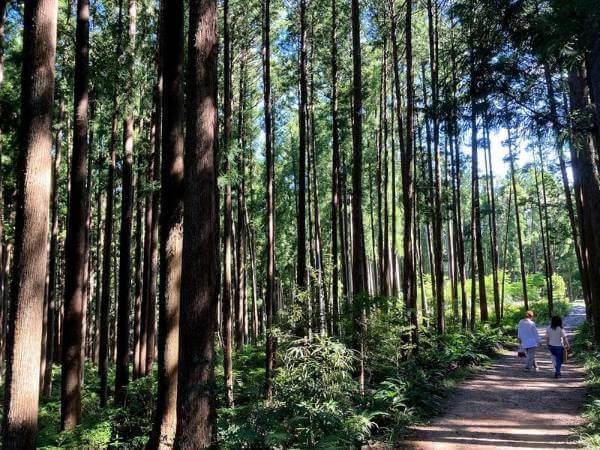 和歌山「持続可能な観光地」で1位に 世界的ガイドブック 読者投票にて:外国人に評価されるその理由とは