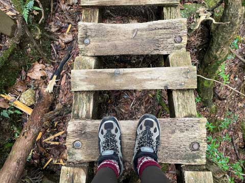 屋久島の世界遺産「縄文杉」!おすすめのトレッキングコースや見どころ・アクセス方法を紹介