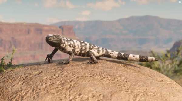 『レッド・デッド・リデンプション2』のプレイヤーはガチで野生動物に詳しくなっていたと判明