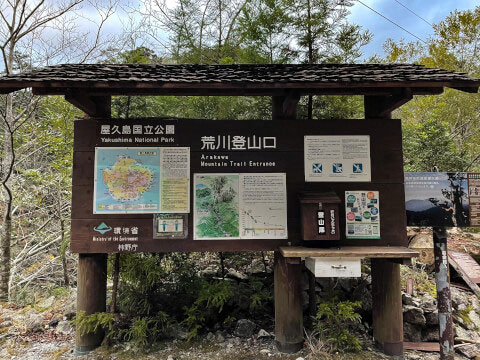 屋久島の世界遺産「縄文杉」!おすすめのトレッキングコースや見どころ・アクセス方法を紹介