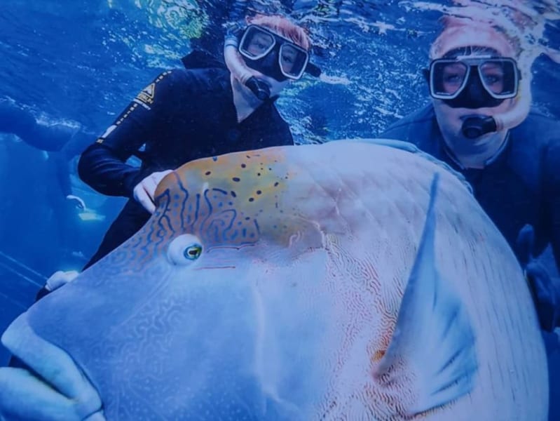 人に会えなくなった水族館の魚たちに次々と「うつ症状」が出始める