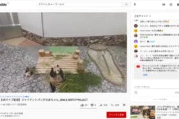 台湾スイーツで旅気分。「リーガロイヤルホテル東京」で贅沢アフタヌーンティー