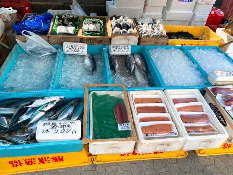 南房総のおすすめ観光スポット8選!皇室献上のびわや一面のお花畑、新鮮な魚介を満喫しよう♪