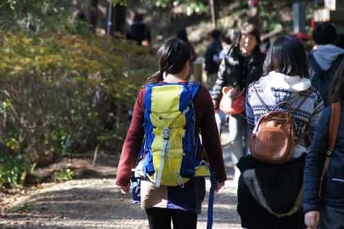 観光がてら気軽に登山も満喫。高尾山の紅葉スポットおすすめ7選、見頃もご紹介!