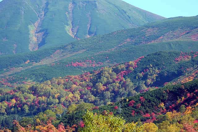十勝岳連峰の紅葉はまもなく見頃に