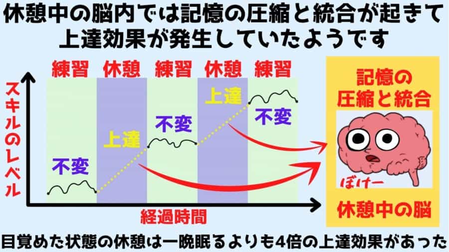 練習中ではなく「頻繁な休憩」がスキルを上達させると判明